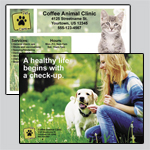 6.5 x 9 EDDM template with an adorable kitten and a woman playing in the grass with a yellow lab, holding a dandelion.